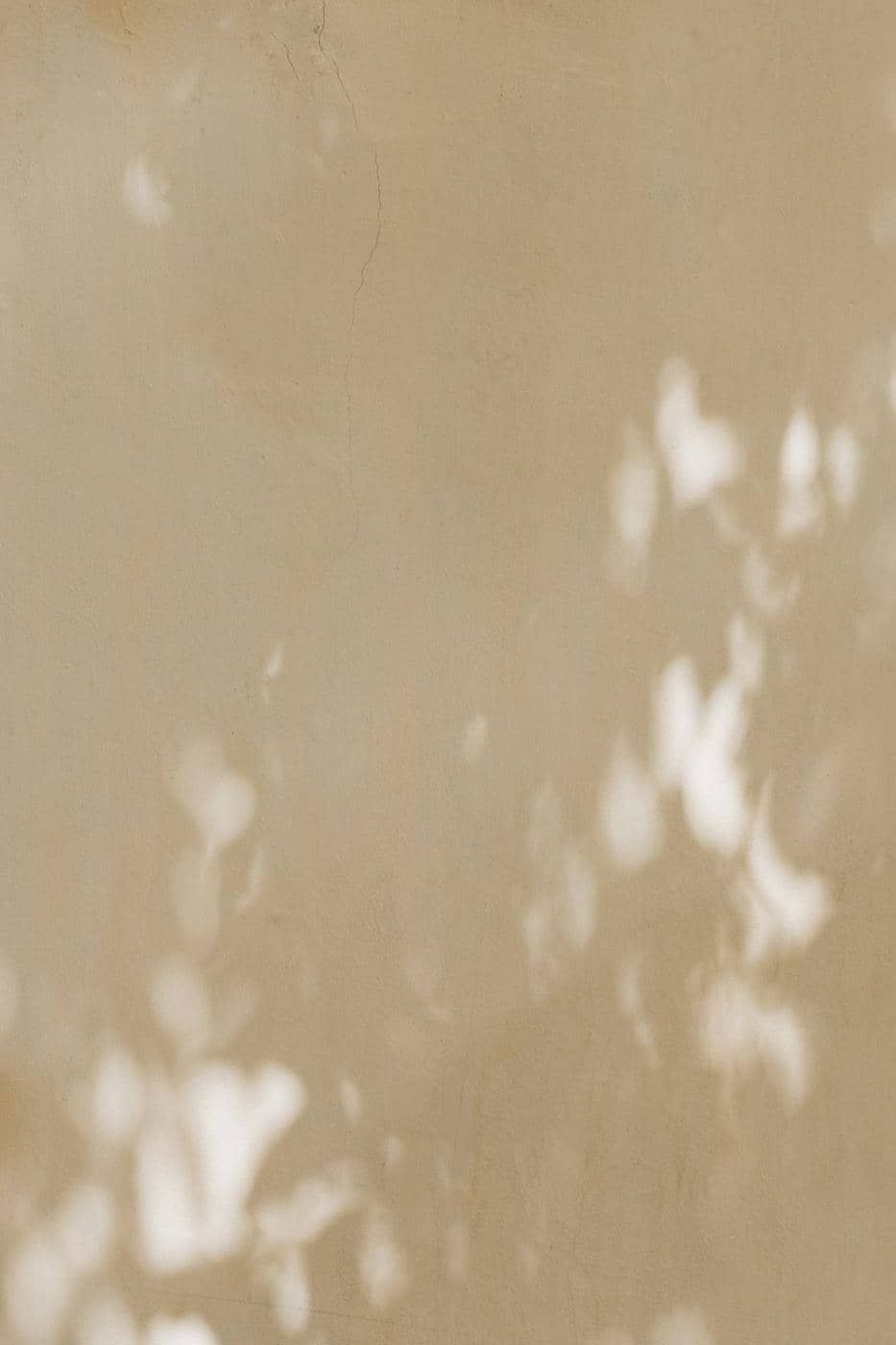 Leaf shadows falling across a warm beige plaster wall